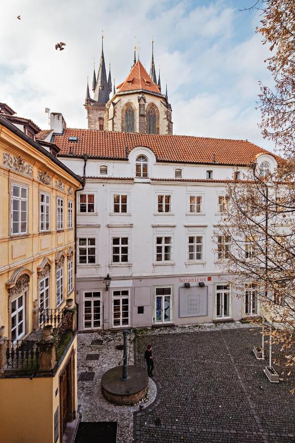 Apartmán U Cerneho Medveda- At The Black Bear Praha Exteriér fotografie